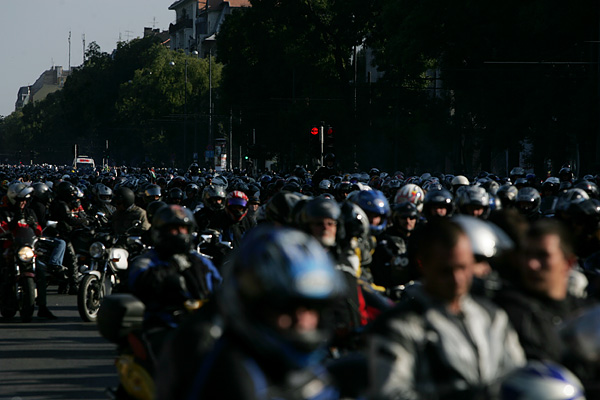 articles: gpb_04.jpg articles: gpb_04.jpg