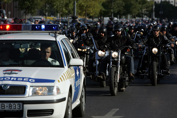 articles: gpb_05.jpg articles: gpb_05.jpg